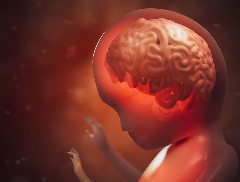 agy egy része hiányzik hidranencefália