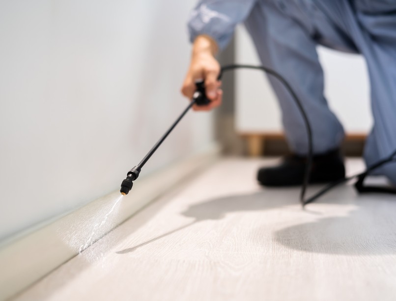 orvos valaszol munkahely rovarirtás