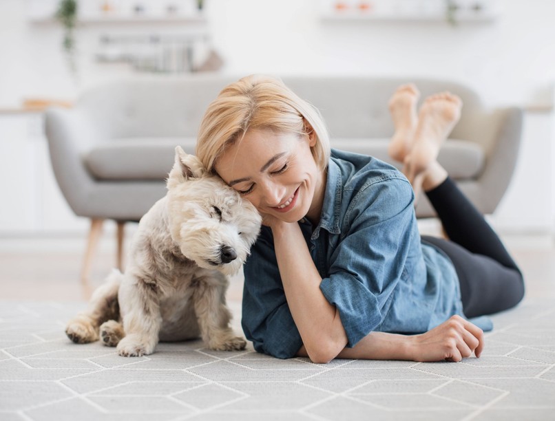 miért barátságosak a kutyák az emberekkel