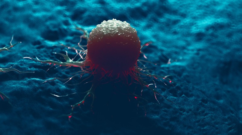 A ráknak is van saját mikrobiomja - önmagát védi vele a tumor!