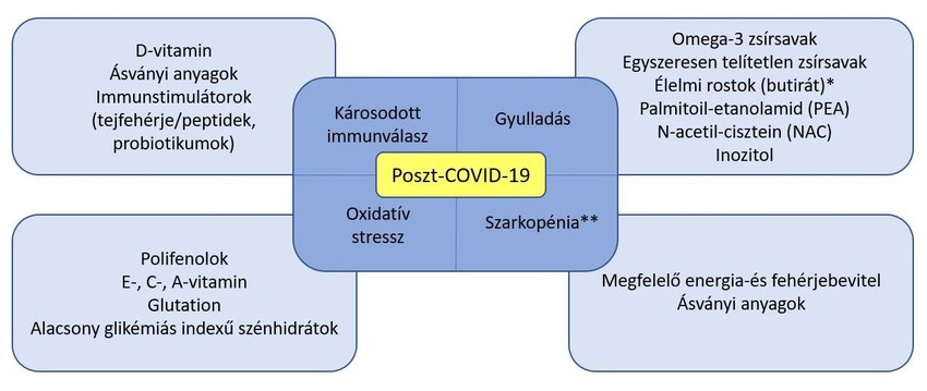 Javasolt élelmiszerkomponensek poszt-covid alatt
