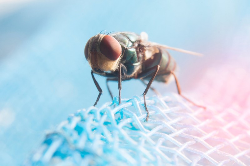 Álomkór elleni küzdelem: megelőzés és kezelés