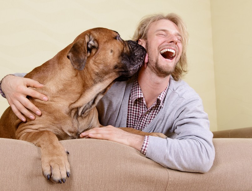 mikor tekint családtagnak kutya