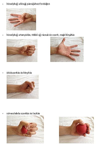 Gyógytornák: a kéz tornái 1. (videóval!)