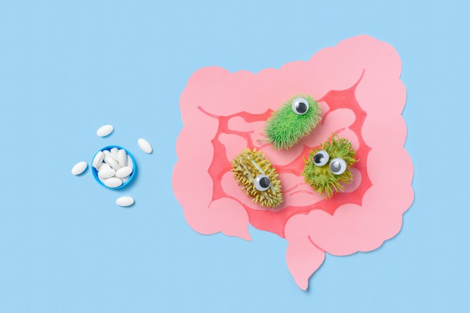 Meggyengült bélflóra: ez segíthet helyreállítani az egyensúlyát című cikk nyitóképe