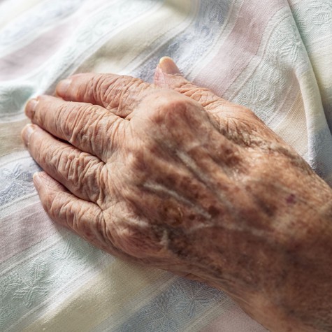 A szív megáll, de az agy még dolgozik? Mi történik a vég után? című cikk nyitóképe