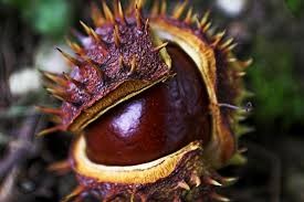 Légy ott évente: Családfő Mentő Program