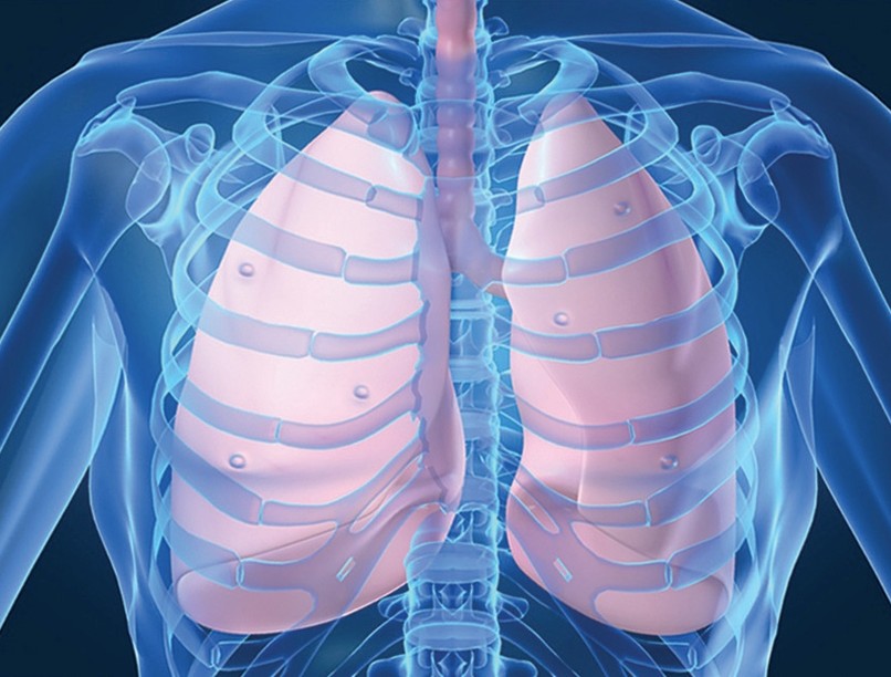 chest_medicine_board