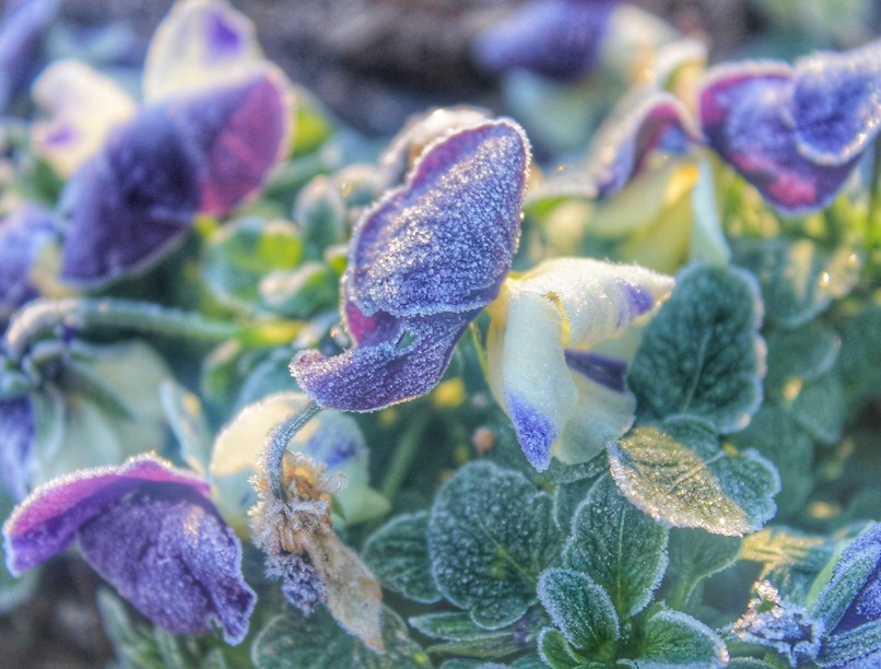 hétfő időjárás, fronthatás, migrén