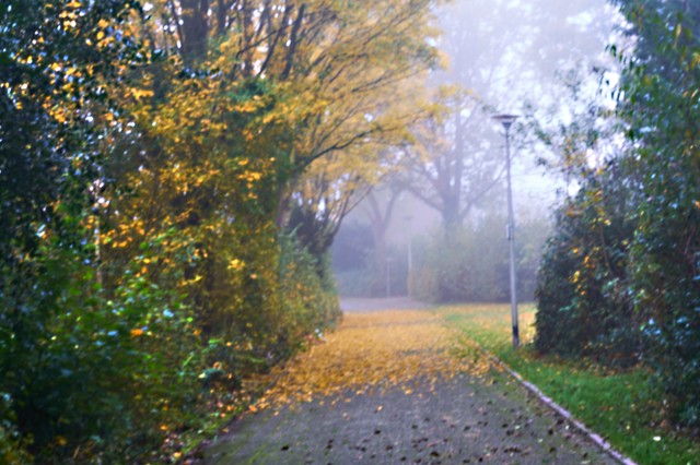 Orvosmeteorológia: sok rosszat tartogat kedden az idő