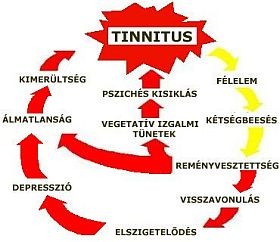 Tartós fülzúgás (tinnitus)
