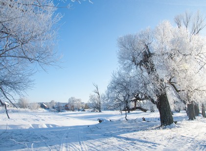 Sarkvidéki hideg érkezik: így készüljön fel a mínuszokra című cikk nyitóképe