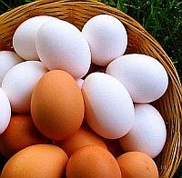 Tojásfehérjével - a magas vérnyomás ellen?