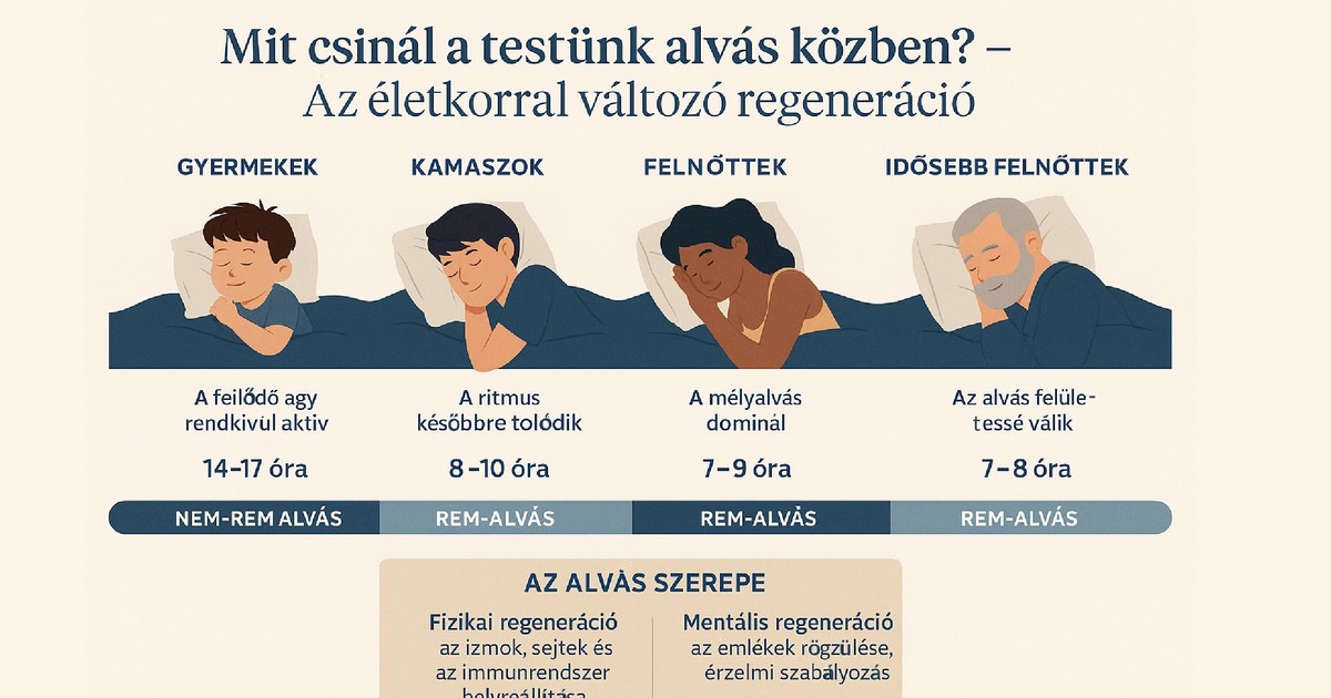 Mit csinál a testünk alvás közben? Így változik a szervezet önjavító ...