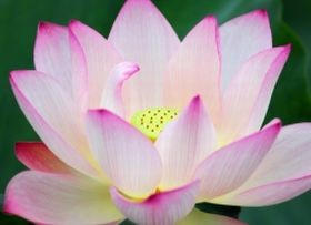 Szexfüggés és intimitás