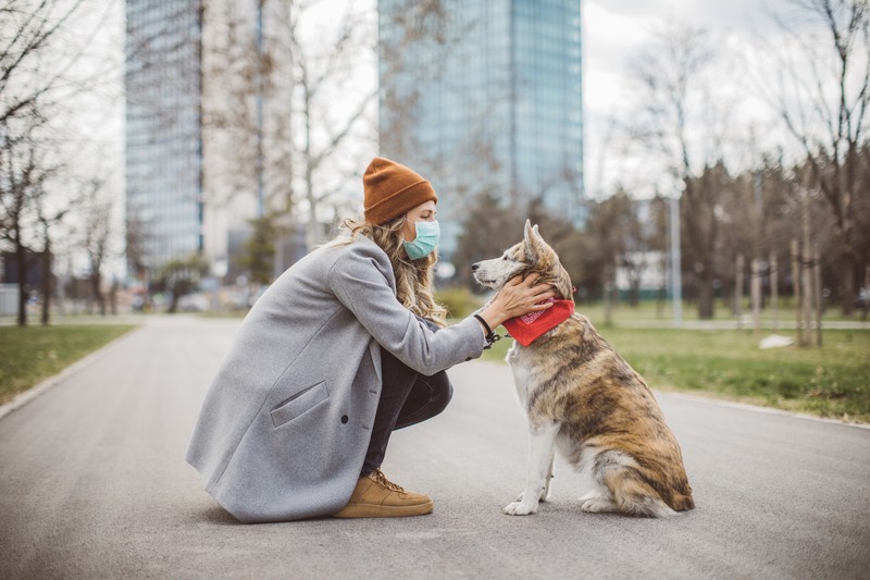 Koronavírus: a brit variáns kutyákra, macskákra is veszélyes