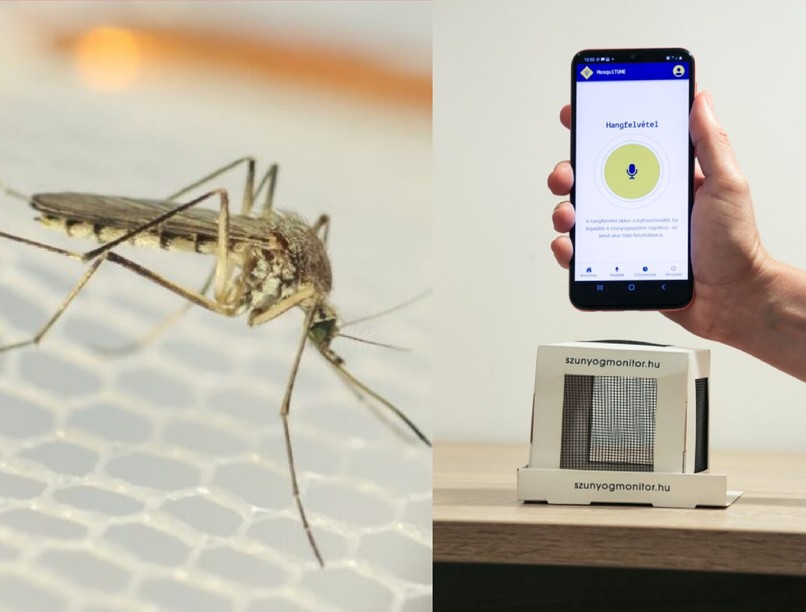 kutatás szúnyoghangokból tanítanák AI-t