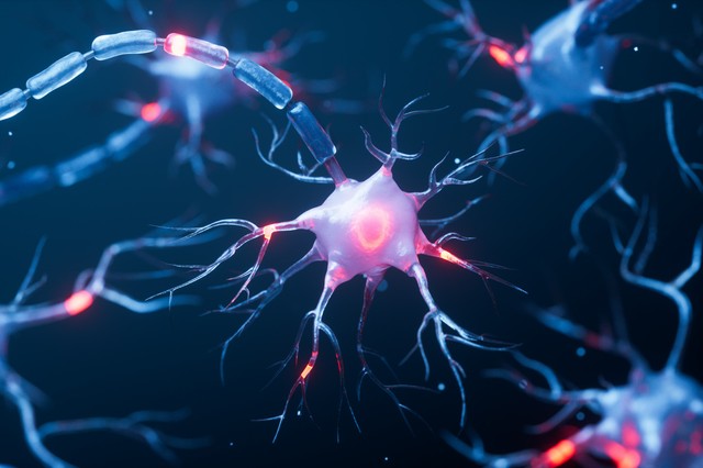 Idegsejttípusok teljes RNS-készletének meghatározására alkalmas módszert dolgoztak ki magyar kutatók