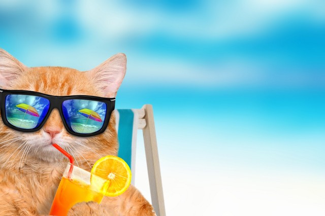 Orvosmeteorológia: folytatódik az április kánikula, növelve a rosszullétek esélyét