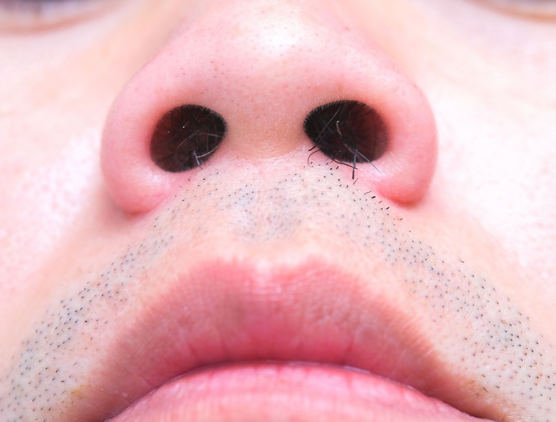 miért kettő orrlyuk érdekesség