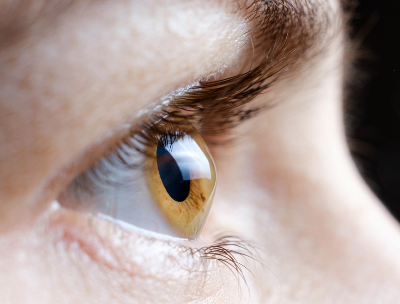 Roska Botond Wolf-díj vakság ellen