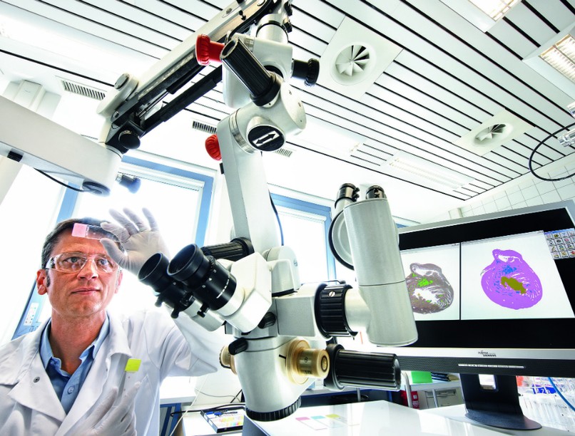 kardiologus_a_mikroszkopnal_