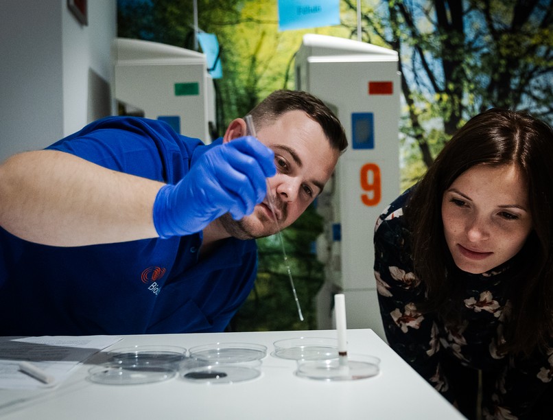 véradás plazma plazmafeldolgozás gyógyszer donáció