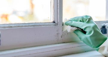  Rejtett penész a lakásban: ezek a tünetek utalnak rá 