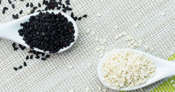  Szezámmag: komoly gondokat is okozhat a csontok titkos szövetségese 