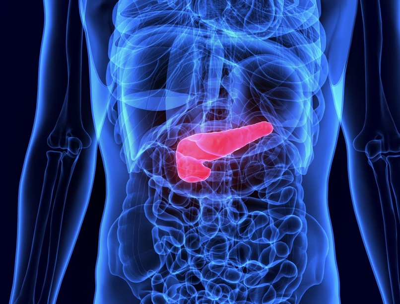 cukorbetegség, hasnyálmirigy, inzulin, vércukorszint, cukorbetegség kezelése