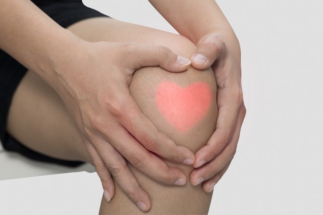 Ezt a 10 dolgot messze kerülje el, ha jót akar a porcainak!