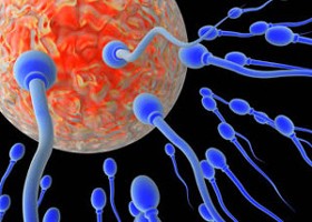 Teherbe akar esni? Csak lazítson...