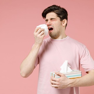 Ott az inger, de mégsem tud tüsszenteni? Ezekkel a módszerekkel előcsalogathatja! című cikk nyitóképe