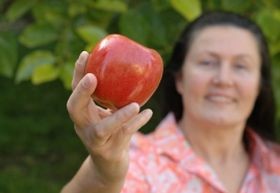 A menopauza matematikája...