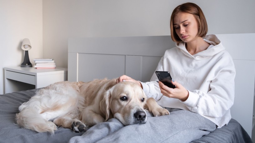 négylábú antidepresszánsok kutyatartás