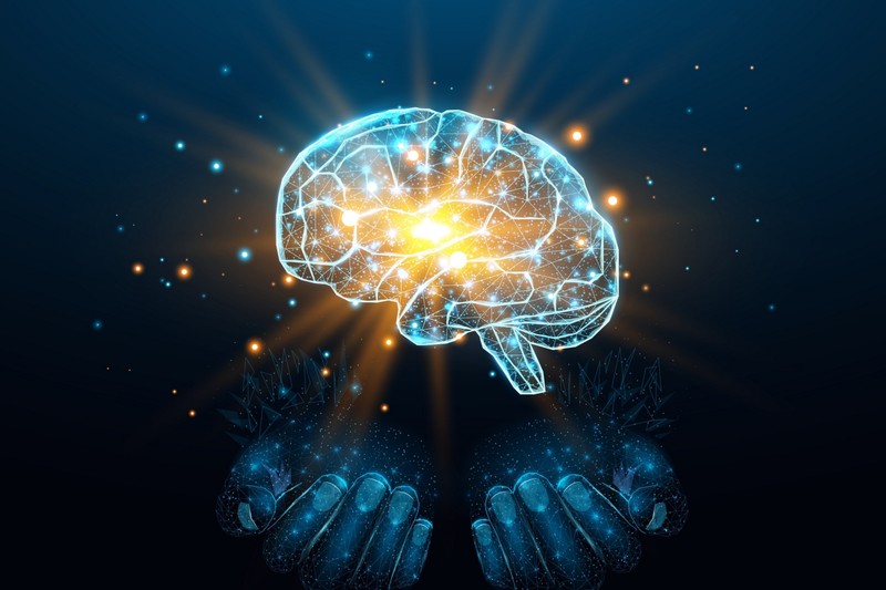 MTA: magyar kutatók világelső eredménye az idegsejtek közötti kapcsolatokról