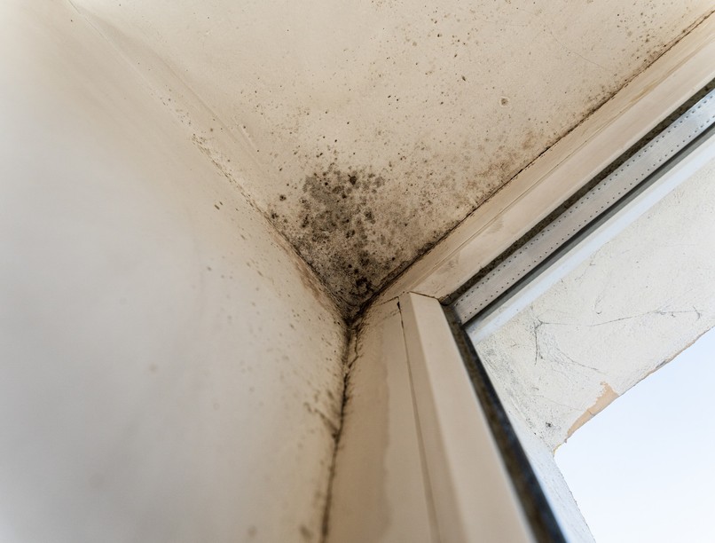 penesz ellen otthon orvos válaszol