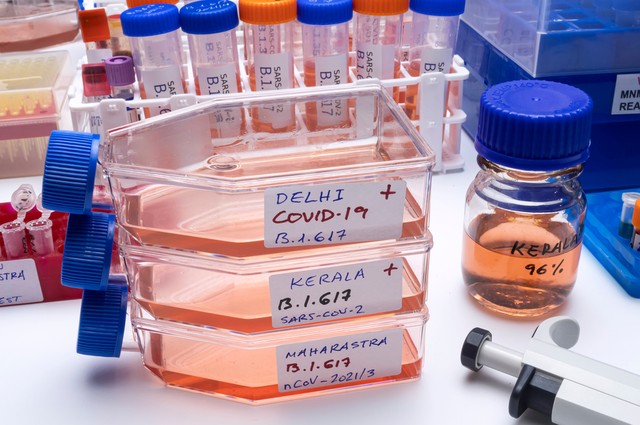 Indiai variáns: berobbant a járvány Angliában, elmarad a nyitás