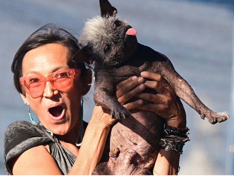 Megnyerte: ez a kutya lett a legrondább a világon!