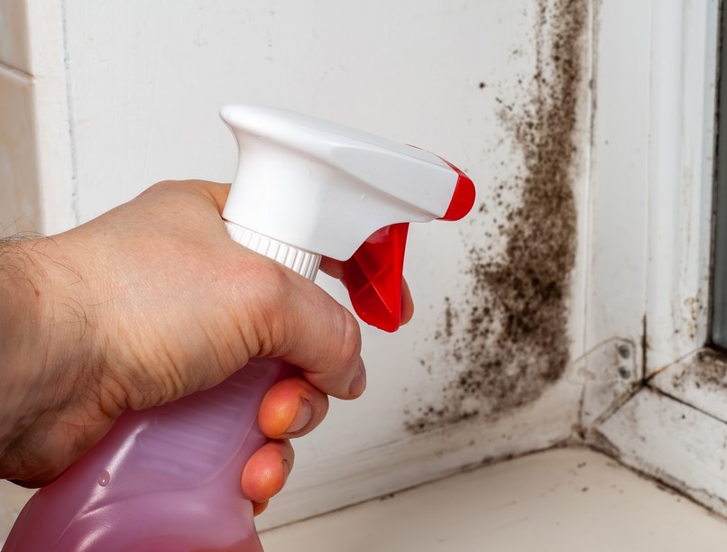 penész ellen allergia, lakás