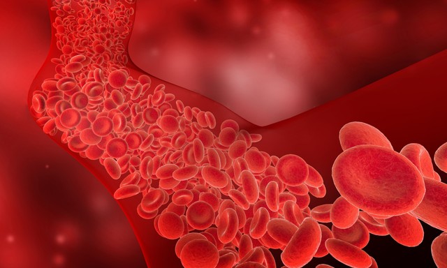 Kék-zöld foltokat vett észre a bőrén, pedig nem ütötte meg? Ez a betegség is okozhatja