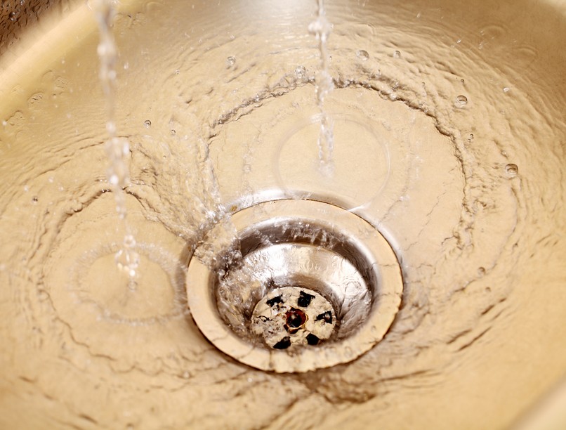 lefolyó, cső, gomba, mikroba