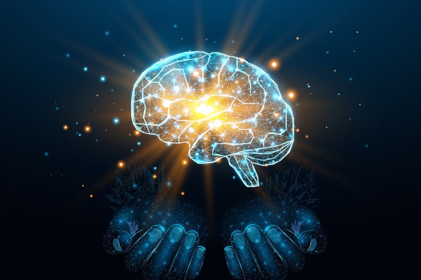 Egészen a közelmúltig a felnőtt agyat nagyrészt állandónak és stabilnak tekintették.