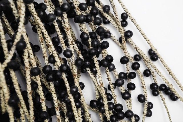 Acai bogyó a rák ellen? Feltételezett előnyök, objektív hatások és mellékhatások