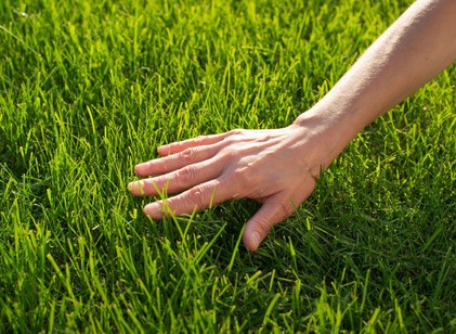 Valóban csak öt érzékünk van? A modern tudomány szerint ennél jóval több című cikk nyitóképe