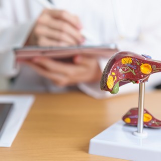Hepatitisz: szabad májgyulladással alkoholt inni? című cikk nyitóképe