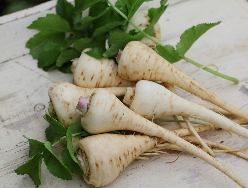 paszternák zöldség emésztés