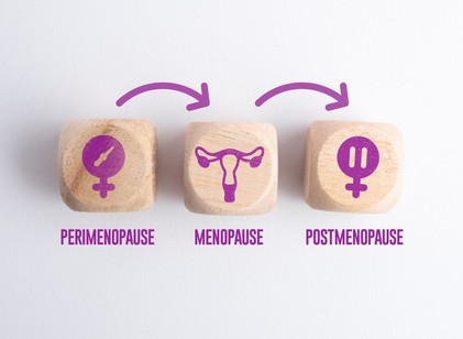 A petefészkek második élete: érdekes karrierváltáson esnek át a menopauza után című cikk nyitóképe