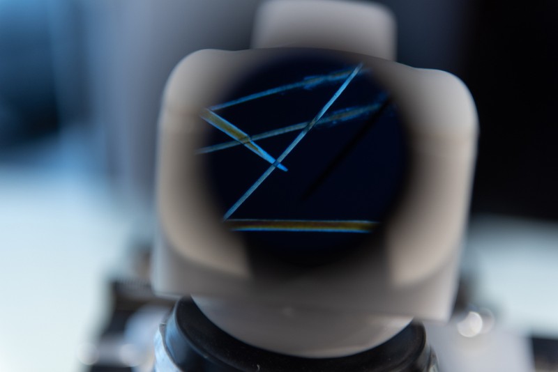 Beszédes haj: ezzel a módszerrel derítik ki, hogy mérgezik-e nehézfémek a szervezetét