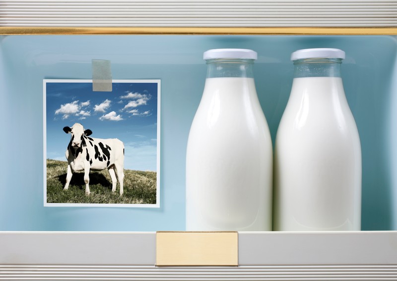 A magyar tejnél nem lehetne olcsóbb a szlovák, mégis az - hogyan?